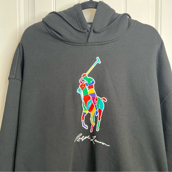 Polo Ralph Lauren The Big Fit Black Rainbow Pony Sweatshirt Hoodie. Size Large. - Picture 5 of 12